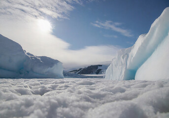 iceberg in polar regions