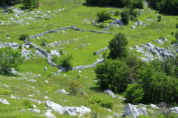 Old drywalls on mountain meadows, Velebit, Croatia