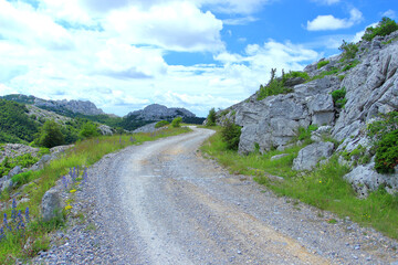 Old road on saddle Mali Alan, on Velebit mountain, Croatia