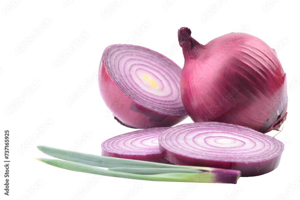 Poster red onion isolated on white background