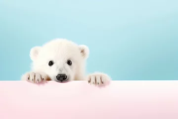 Fototapete Banner for International polar bear day. Polar bear peeking over pastel bright background. Copy space. © ita_tinta_