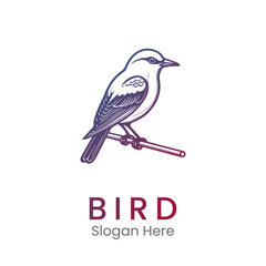 Bird logo hipster vintage retro vector line outline monoline art icon