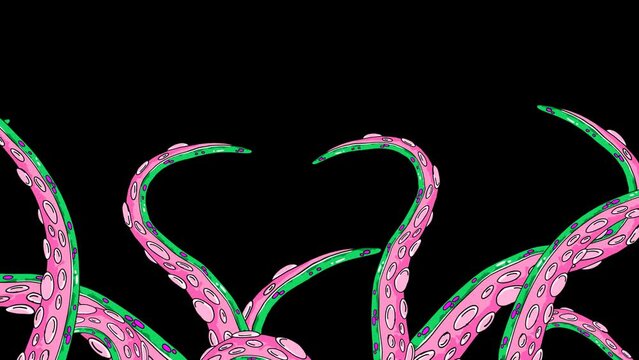 Animated tentacles move fluidly and dynamically. Pink octopus tentacle.  Transparent 4K Alpha Channel.  Seamless loop. Perfect for movies, pattern, ornament, presentation.