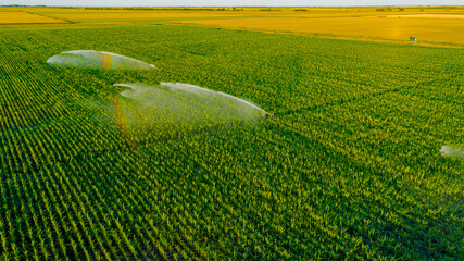 Aerial view on high pressure agricultural water sprinkler, sprayer, sending out jets of water to...