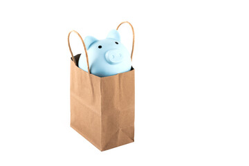 Blue piggy bank in a paper bag on a white background