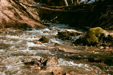 Fast river with rapids in spring forest - film photo