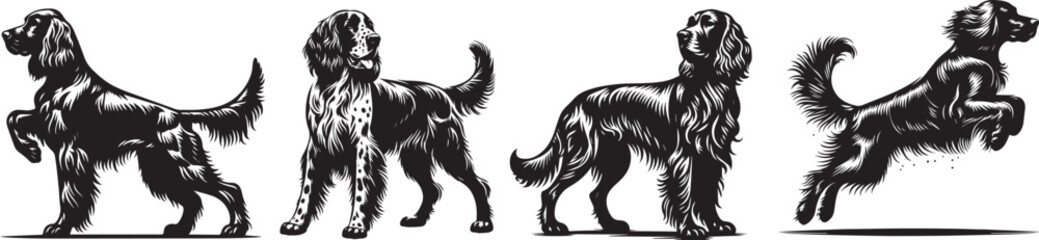 Naklejka na ściany i meble silhouettes of setter dogs