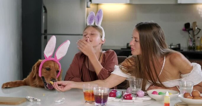 Family traditions of celebrating Easter Mom and daughter are sitting at the table and decorating Easter eggs Next to them is a golden retriever dog in a hair holder with bunny ears. Christian holiday.