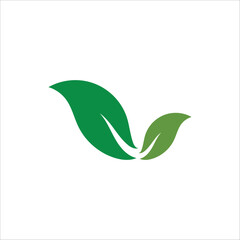 leaf logo design and technology