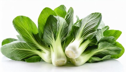 fresh green bok choy chinese cabbage isolated on white background - obrazy, fototapety, plakaty