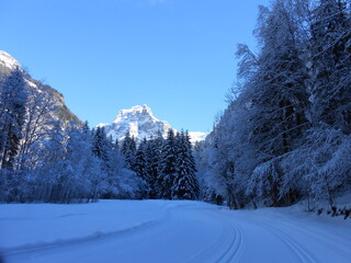 pistes de ski de fond dans paysage enneigé. Alpes Francaises