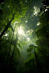 Enthralling Panoramic View of the Verdant Majesty: Untouched Rainforest Ecosystem