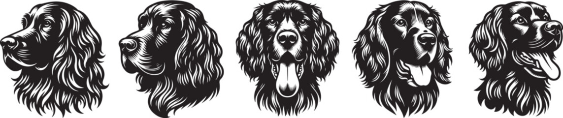 heads of setter dogs laser cutting engraving