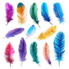 the feathers are multicolored isolated on a white background with clipping path.