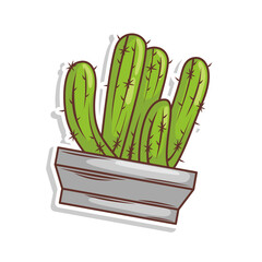 cactus doodle art illustration design
