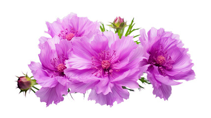 shaggy purple flower design, Isolated on transparent PNG background, Generative ai - Powered by Adobe