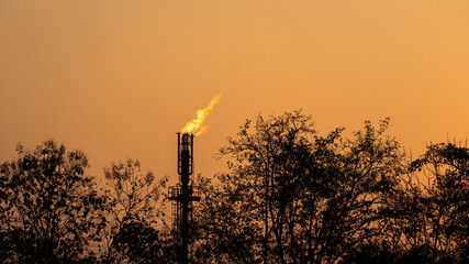 Refinery plant is burning gas at the flare tower, with silhouette shade on tree branch on foreground and orange sky as background. Industrial process scene photo. © Nattawit