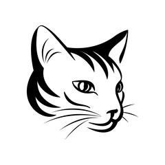 Cat face, siamese cat, pet, animal mascot. Cat logo template. Vector illustration.	 - 737217732