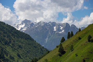 Fototapeta na wymiar Adamello Mount seen from Valle di Viso - Ponte di Legno - Italy