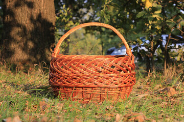 beautiful wicker basket in meadow - 737223912