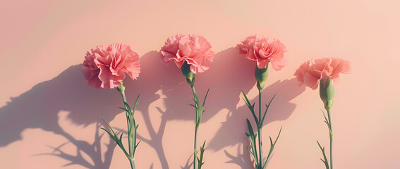 Elegant Carnations: A Dance of Blossoms on a Soft Pink Canvas