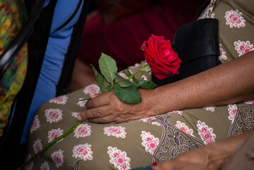 A woman's hand holding a red rose.