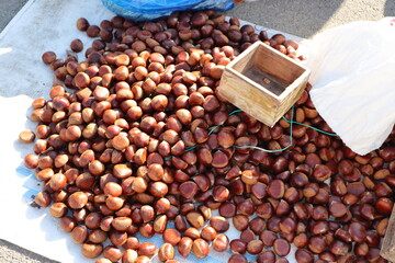 chestnut. Korea's Traditional Market.