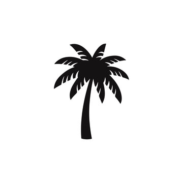 Tropical Palm Tree vector silhouette