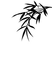 Black Bamboo leaves silhouette. Shadows of branches olive on isolated background.