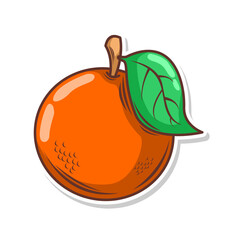 Orange fruit cartoon doodle hand draw illustration art