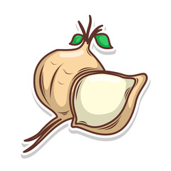 Jicama fruit cartoon doodle hand draw illustration art