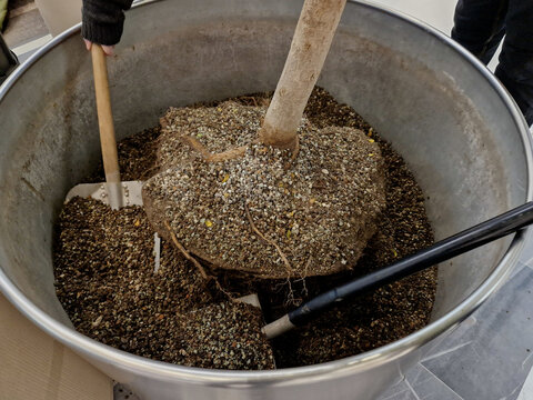 large flowerpots on pallets for transplanting plants, trees. heavy roots and the trunk must be dug up and transferred to a second, larger container, a flower pot.