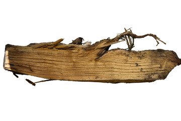 a piece of wood png