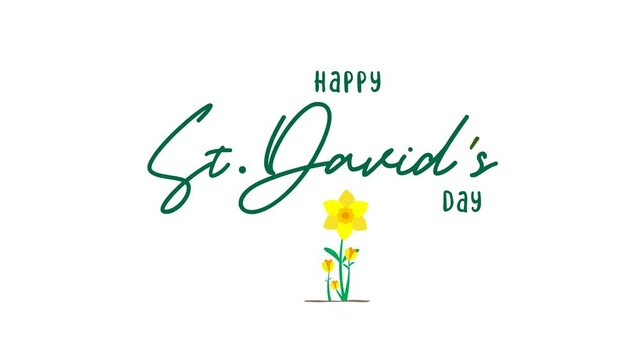 Happy St. David's Day. 
animation video with Beautiful daffodils growing and text. concept video for cards or postcards. St. David's Day 4k video animation - Powered by Adobe