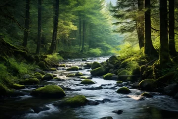 Foto auf Leinwand A tranquil mountain stream flowing through a forest © KerXing