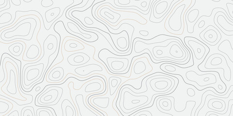 Abstract wavy topographic map. Abstract wavy and curved lines background. Abstract geometric topographic contour map background.