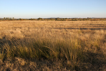 Fine art landscape photoNort-West farm in South Africa. 