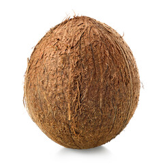 One fresh whole coconut on white background