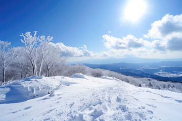 Fototapeta na wymiar Beautiful winter landscape in south korea