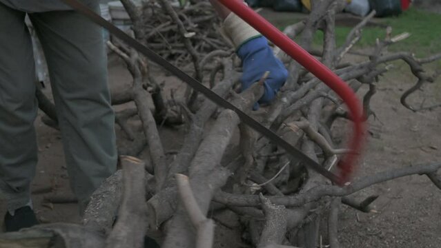 Serruchando una rama con serrucho y guantes