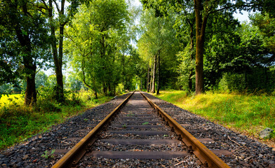 Straight railway track with symmetrical frog perspective at a branch line in a forest near...