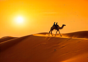 Fototapeta na wymiar Camel in the desert of thar 