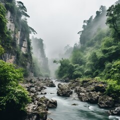 Asian river landscape with rocks, trees and fog