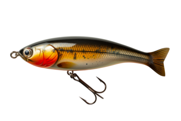 A fish is seen sitting on a fishing hook, caught by a fishing wobbler used for spinning rod fishing. Isolated