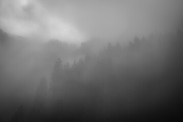Forest mountain in fog. Foggy forest landscape. Dark clouds on a mountain