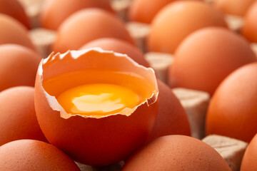 Close up fresh raw open egg on egg tray