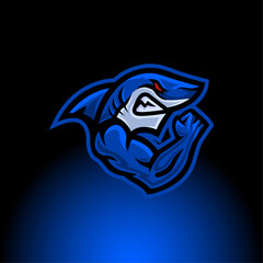 Shark Mascot logo, Shark illustration, Shark logo
