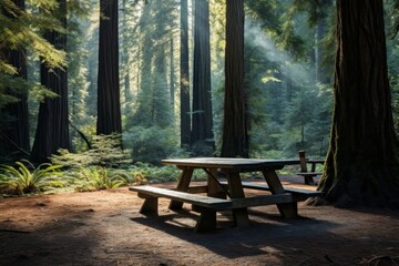 A wooden picnic table in a redwood forest