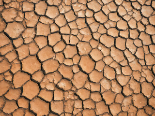 Dry cracked earth background texture. Global warming and climate change concept.