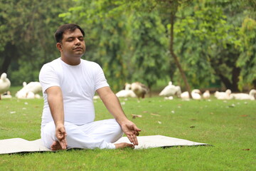 A young man exercising and doing Yoga poses in a green serene environment early morning in a park...